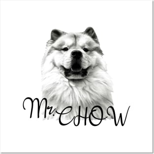 Mr. Chow Posters and Art